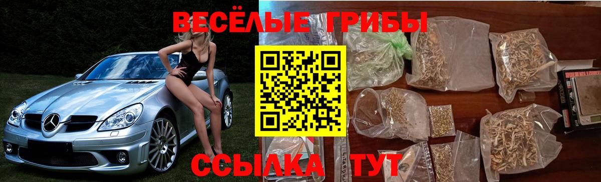 Владивосток  Псилоцибиновые грибы мухоморы  Вход с VPN 
